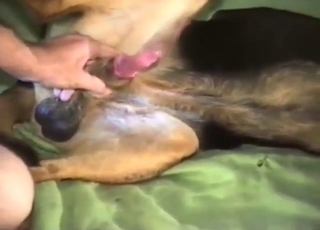 Dog fucks college stud with a tight asshole